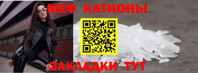 прущие грибы Будённовск