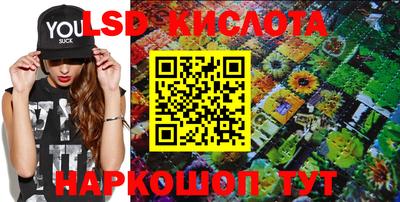 прущие грибы Будённовск