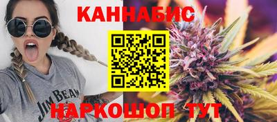 прущие грибы Будённовск