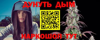 прущие грибы Будённовск