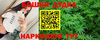 прущие грибы Будённовск