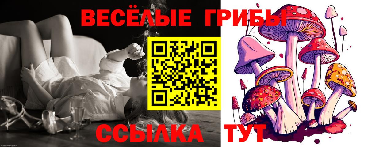 Псилоцибиновые грибы Magic Shrooms  где найти   Сосновоборск  Псилоцибиновые грибы мухоморы  Вход с VPN 